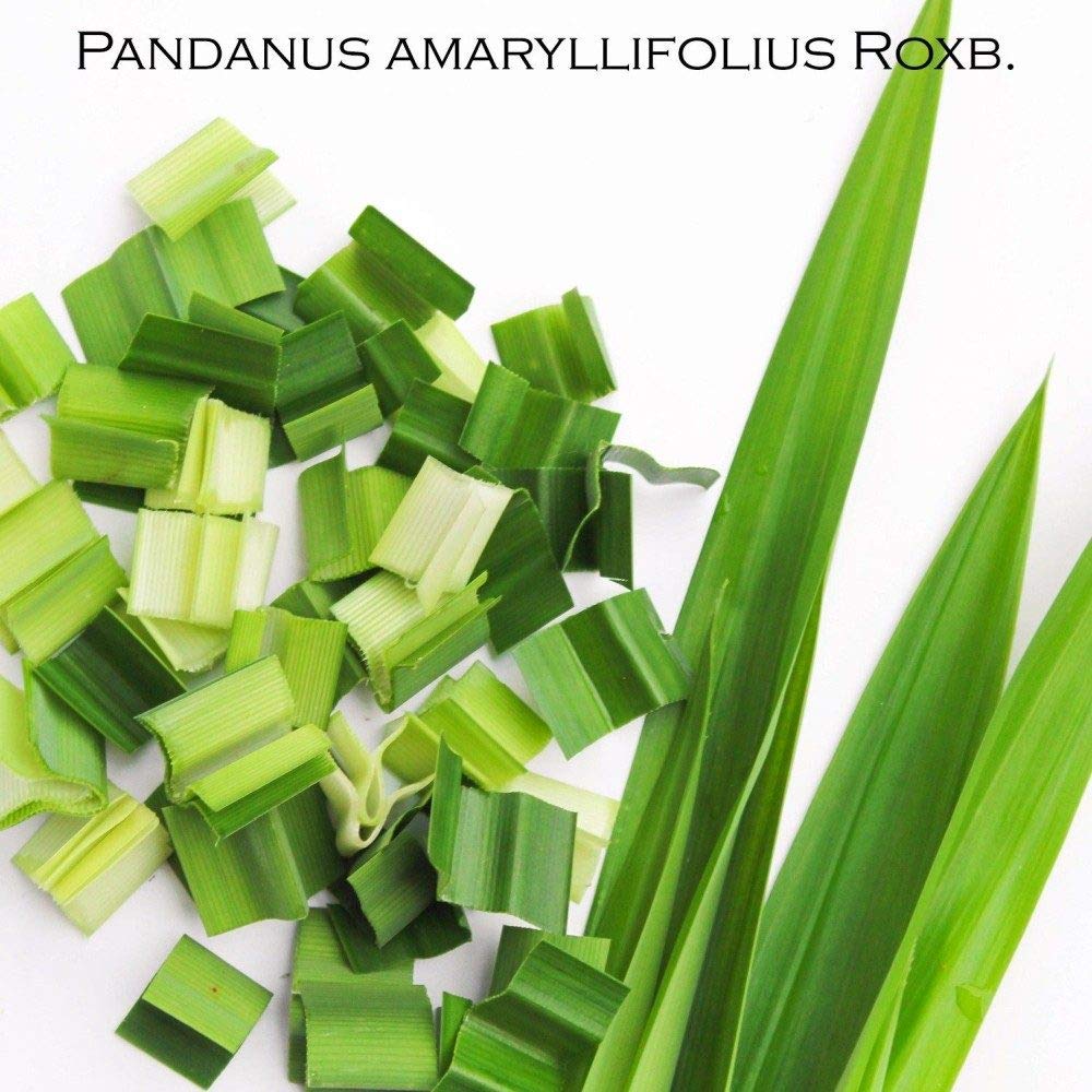 kitama-zitronengras-pandan-tee-100g-koffeinfrei image 4